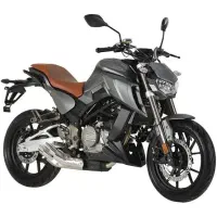 مانستر 250