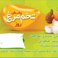 پخش تخم مرغ روز