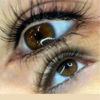 خدمات واموزش شیدلب،بنمژه،میکروابرو،ریمو فقط۲میلیون|خدمات آرایشگری و زیبایی|شیراز, قدوسی غربی|دیوار