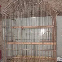 قفس .|لوازم جانبی حیوانات|رشت, حومه رشت|دیوار
