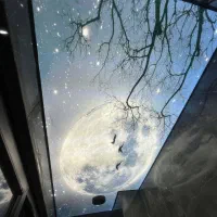 مجری تخصصی سقف کشسان|مصالح و تجهیزات ساختمان|گرگان, |دیوار