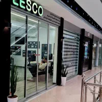 استخدام حسابدار خانم در نوشهر