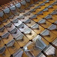 کالیمبا بلز ملودیکا|پیانو، کیبورد، آکاردئون|مشهد, ایثار|دیوار