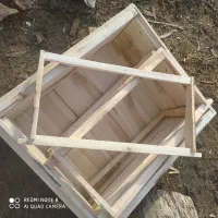 کندو وطبق|حیوانات مزرعه|بوکان, |دیوار