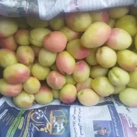 نوشیدنی نوری بزرگ خوش طعم