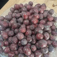 عناب جگری امسالی وزرشک پفکی امسالی|خوردنی و آشامیدنی|بجستان, |دیوار