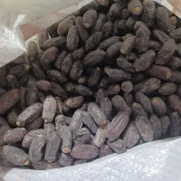 خرماربیفروشی۷۰تن