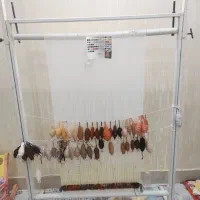 دار تابلو فرش و نقشه