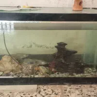 اکواریوم ارزان