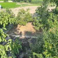 زمین در بهتربن منطقه سوادکوه|فروش زمین و ملک کلنگی|آلاشت, |دیوار