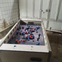 فوتبالدستی