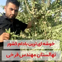 نهالستان میاندوآب|خدمات باغبانی و درختکاری|قزوین, |دیوار