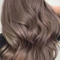 خدمات رنگ و لایت