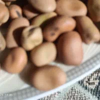 باقالی|خوردنی و آشامیدنی|نیشابور, شهرک بهارستان|دیوار