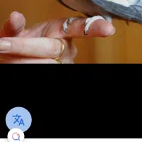 عروس هلندی نرگم شده