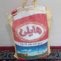 برنج هایلی|خوردنی و آشامیدنی|مشهد, تربیت (صدف)|دیوار