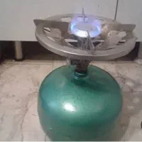 6عدد پیک نیک سالم