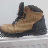 پوتین آمریکایی