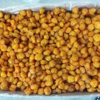 آلو خشک طرقبه سبز نیشابور