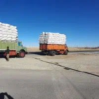 کاه گندم کردستان