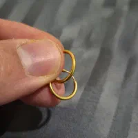 دو جفت گوشواره طلا|جواهرات|اصفهان, چشمه باقرخان|دیوار