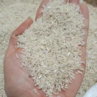 لاشه برنج فجر|خوردنی و آشامیدنی|خان ببین, |دیوار