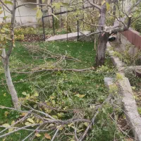 ارایه خدمات نوین دانش بنیان کشاورزی