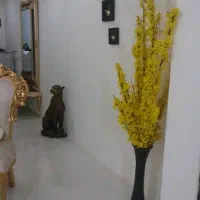 وسایل خونه|میز تلویزیون|مشهد, امیریه|دیوار