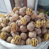 گردو یک دست تمیز