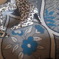 بوت پلنگی|کیف، کفش، کمربند|شهریار, شهریار|دیوار