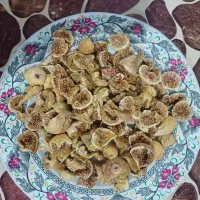 انجیرشکسته