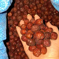عناب تازه و گوشتی