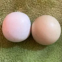 سنگ آسیاب یا همون سنگ الماس