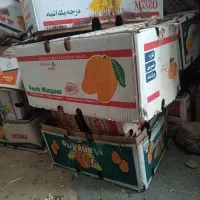 کارتن موز . انبه انار  و جعبه سبد|عمدهفروشی|خرمدره, |دیوار