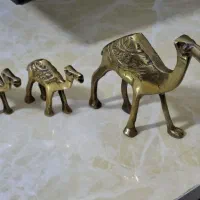 شتر برنز