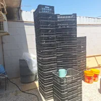 سبدپلاستیکی جهت خرما