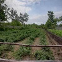 فروش زمین مسکونی ۶۰۰متری با سند تک برگ