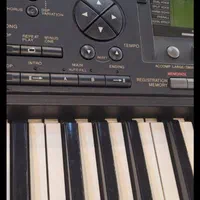 کیبورد یاماها ژاپن|پیانو، کیبورد، آکاردئون|زاهدان, |دیوار