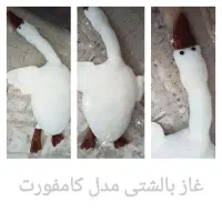 عروسک های قشنگ با تنوع زیاد باقیمتی ارزان|اسباب و اثاث بچه|فریمان, |دیوار