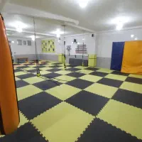 باشگاه ورزشی آپادانا (صیادی)