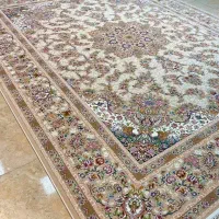 فرش 700شانه/500شانه رنگ بنفش و سورمه ای|فرش|شیراز, لاله|دیوار