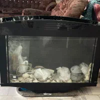 اکواریوم ال سی دی،تصویه اب|لوازم جانبی حیوانات|کاشمر, |دیوار