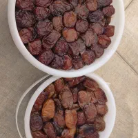 خرمایی تازه بهبهان|خوردنی و آشامیدنی|تهران, زهتابی|دیوار