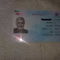 پیدا‌شده