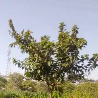 اوقات فراغت
