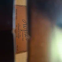 ویولن|ویولن|کرمان, |دیوار