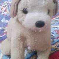 عروسک اسباب بازی سگ