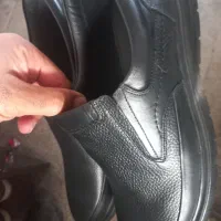 کفش چرم|کیف، کفش، کمربند|رشت, دیانتی|دیوار