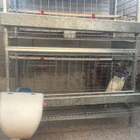قفس مرغ تخم گذار