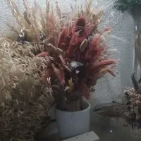 گل خشک تم یلدا